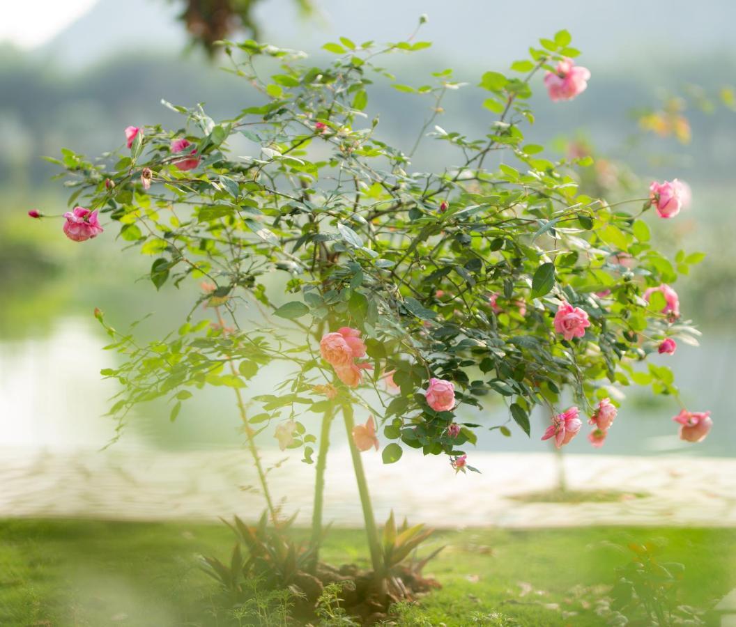 Serena Riverside Homestay - Trang An นิญบิ่ญ ภายนอก รูปภาพ